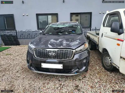 2019 Kia Sorento KNAPG81ABKA544542 VIN:KNAPG81ABKA544542