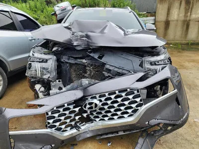 2021 Hyundai Santa FE KMHS381HGMU352227 VIN:KMHS381HGMU352227