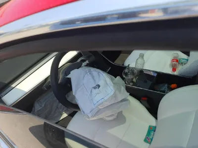 2020 Tesla Model 3 5YJ3E1EC9LF656985 VIN:5YJ3E1EC9LF656985