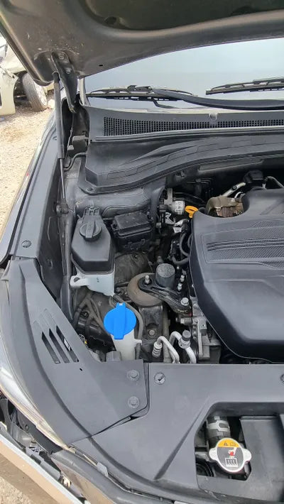 2019 Hyundai Santa FE KMHS381BBKU020928 VIN:KMHS381BBKU020928