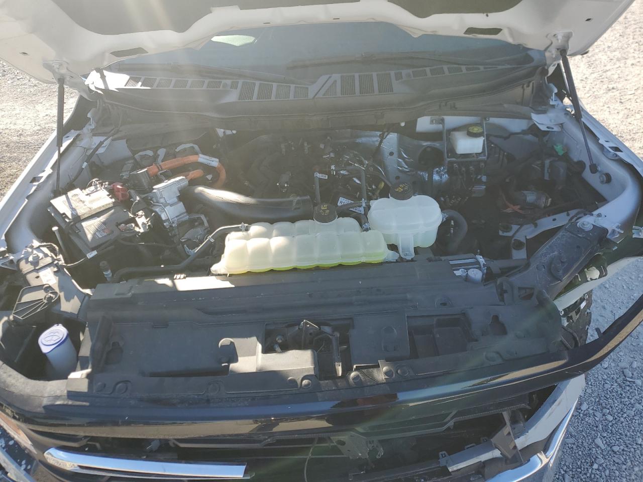 2024 FORD F150 XLT VIN:1FTFW3LD4RFA93737