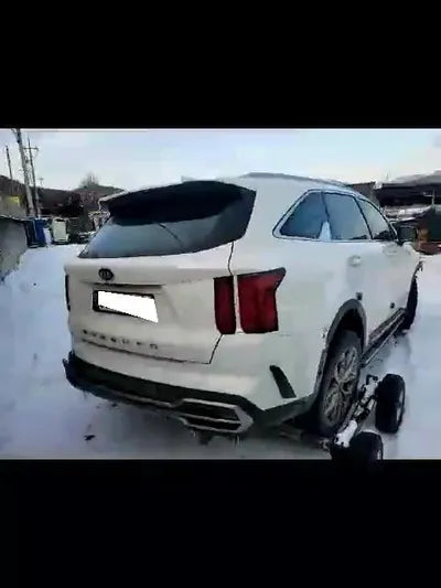 2020 Kia Sorento KNARL81BGMA067027 VIN:KNARL81BGMA067027