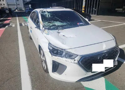 2019 Hyundai Ioniq KMHC951DGKU136059 VIN:KMHC951DGKU136059