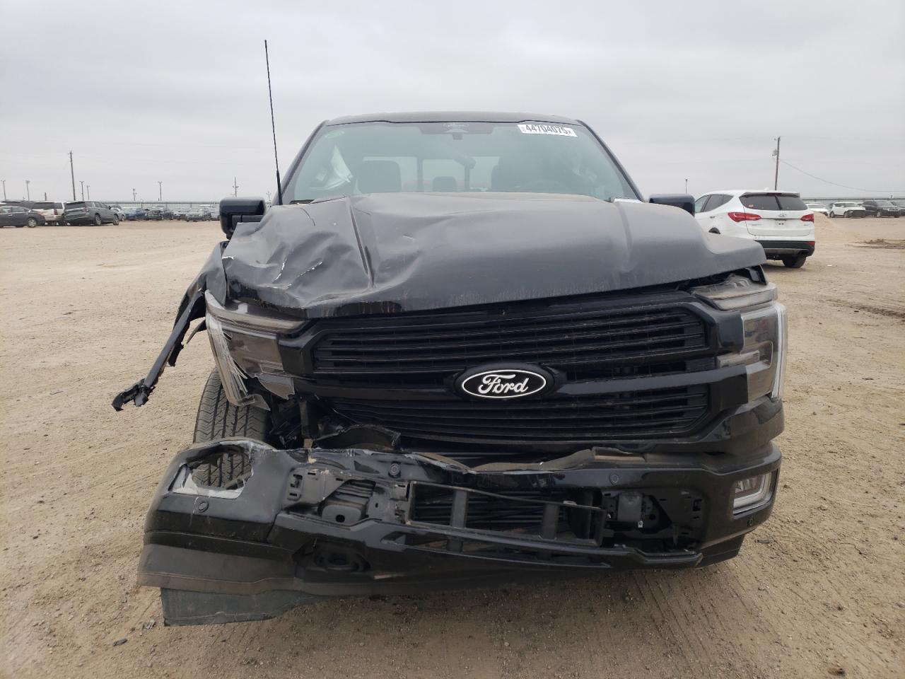 2024 FORD F150 PLATINUM VIN:1FTFW7L81RFB07572