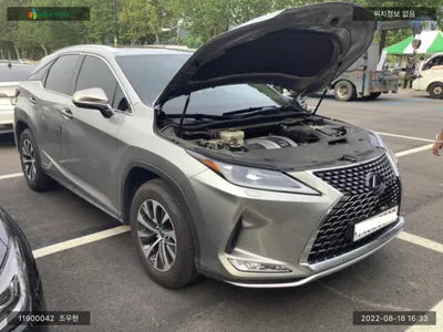 2020 Lexus RX 450 JTJBGMCA1L2061766 VIN:JTJBGMCA1L2061766
