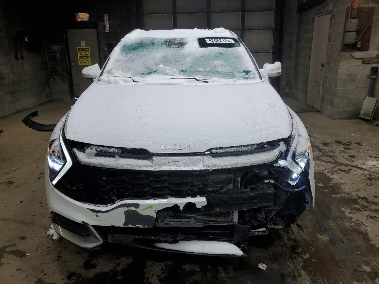 2023 KIA SPORTAGE EX VIN:5XYK3CAF4PG005839