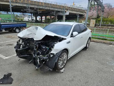 2019 Kia K5 KNAGU411BKA299609 VIN:KNAGU411BKA299609