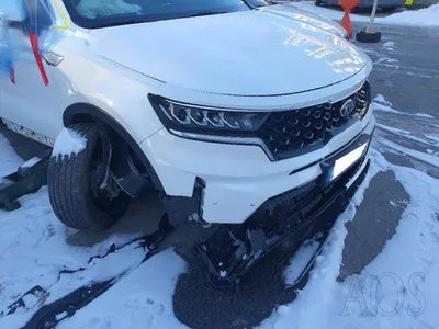 2020 Kia Sorento KNARK81GBMA006789 VIN:KNARK81GBMA006789