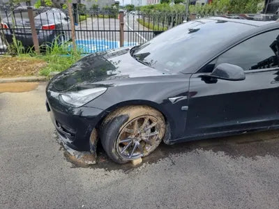 2020 Tesla Model 3 VIN: