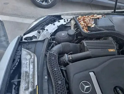 2017 Mercedes-Benz C 200 WDDWF4CB1HF591354 VIN:WDDWF4CB1HF591354