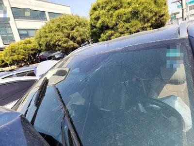 2021 Kia Sorento KNARH81GBMA047432 VIN:KNARH81GBMA047432