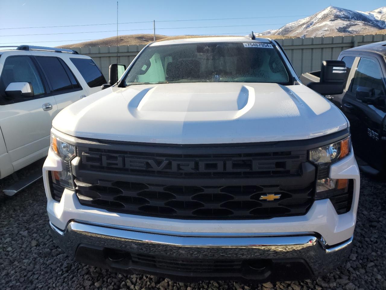 2023 CHEVROLET SILVERADO K1500 VIN:3GCUDAED8PG324648