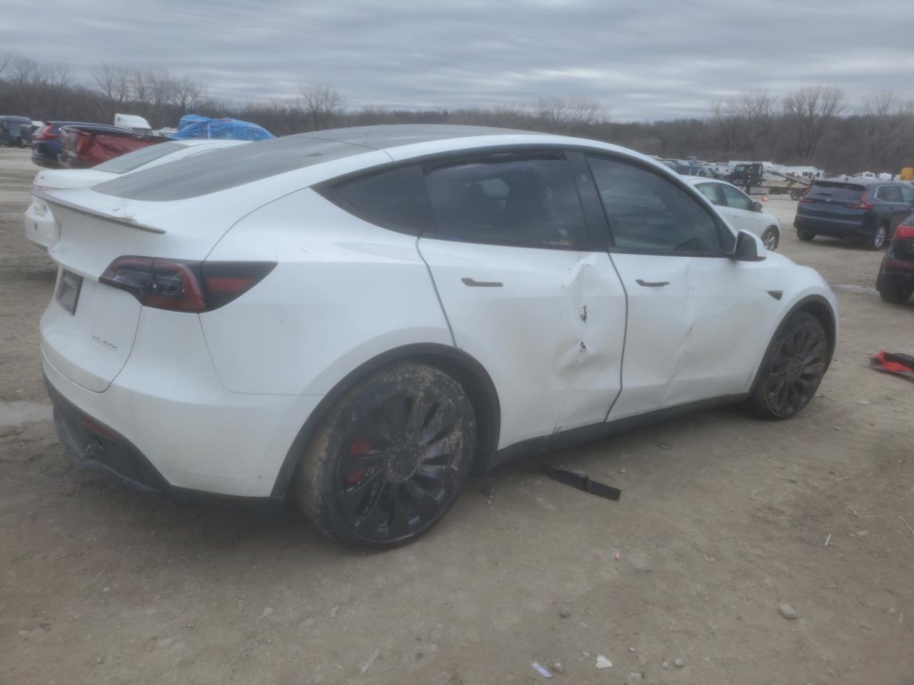 2023 TESLA MODEL Y  VIN:7SAYGDEF0PF791552