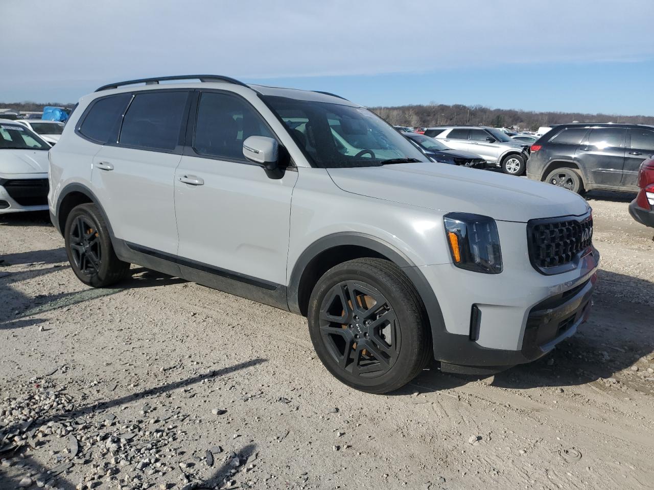 2024 KIA TELLURIDE EX VIN:5XYP3DGC6RG415036