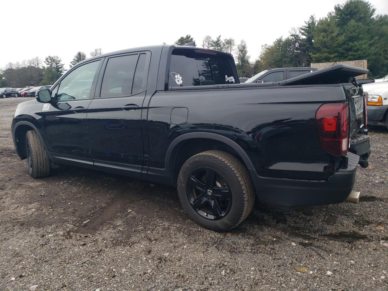2023 HONDA RIDGELINE BLACK EDITION VIN:5FPYK3F89PB007320