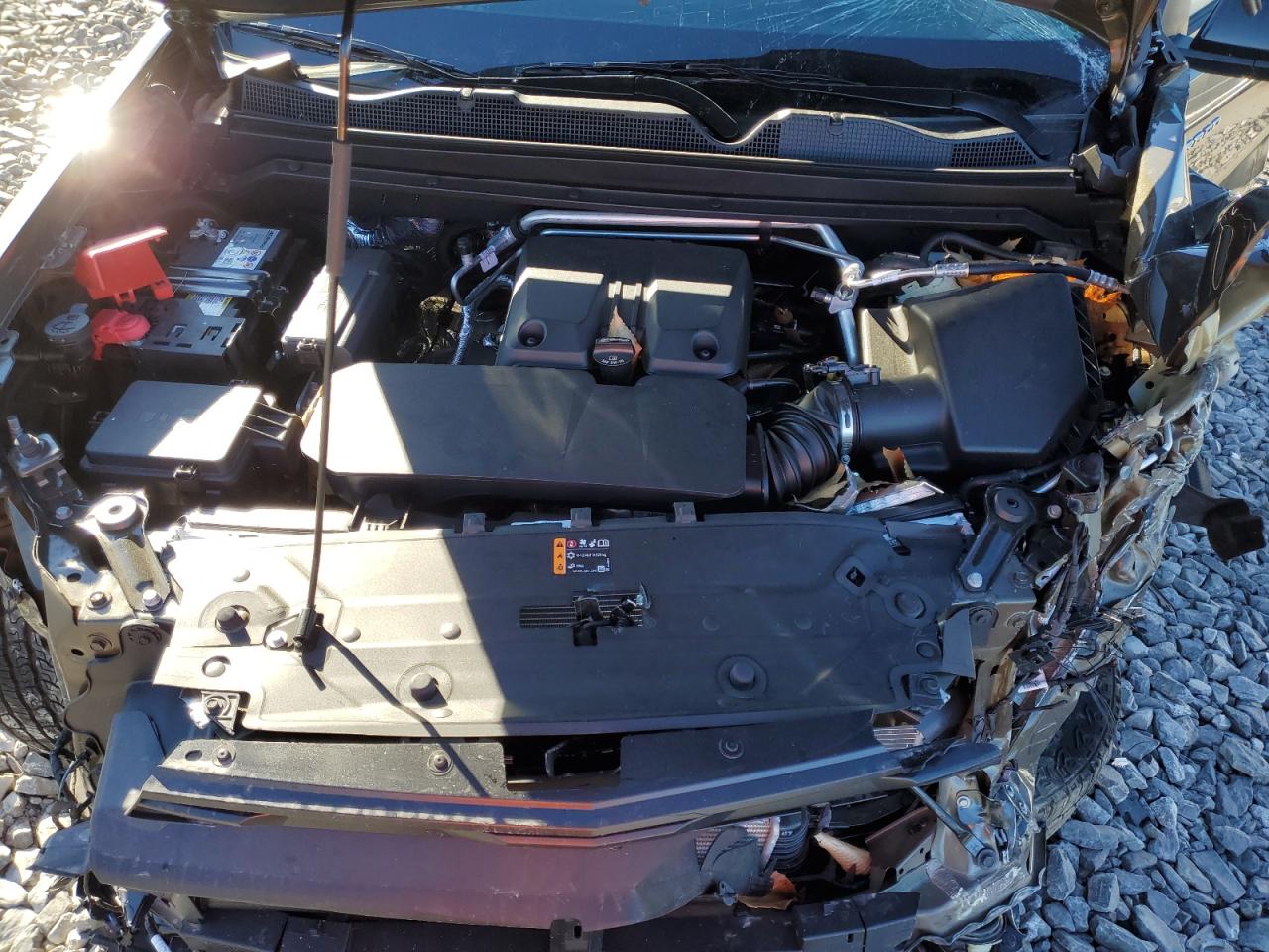 2024 CHEVROLET COLORADO Z71 VIN:1GCPTDEK9R1233003