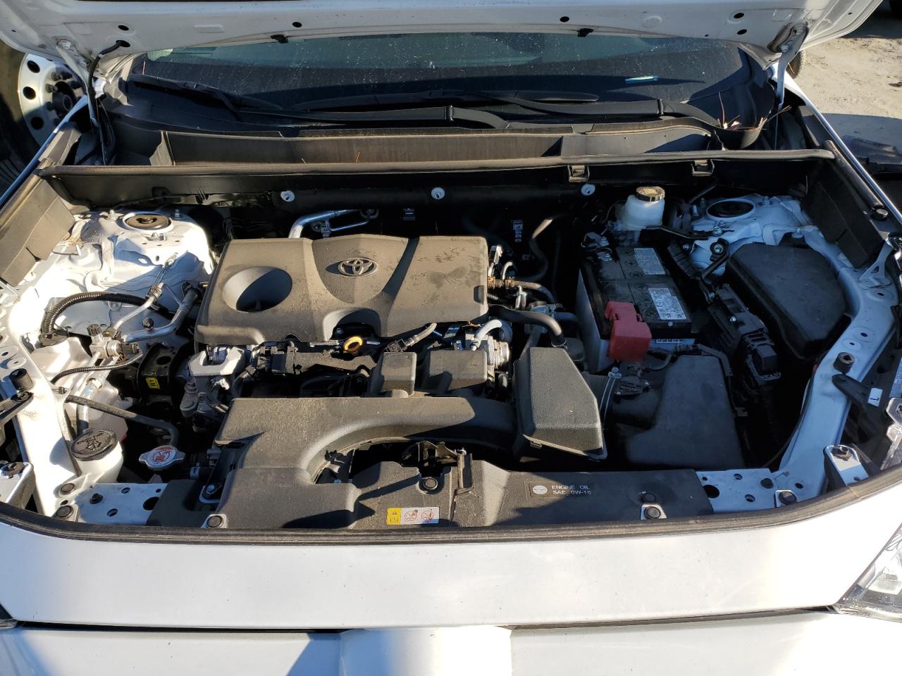 2023 TOYOTA RAV4 XLE VIN:2T3P1RFV8PW338321