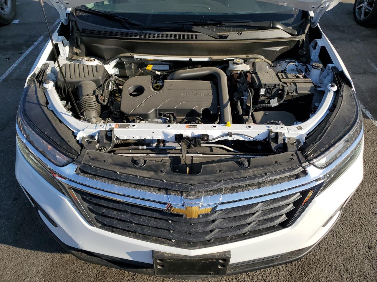 2024 CHEVROLET EQUINOX LS VIN:3GNAXHEG0RL310824