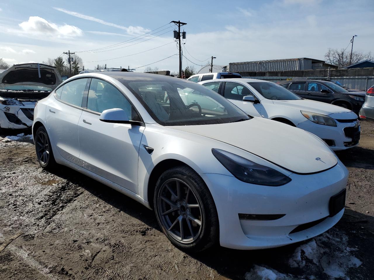 2023 TESLA MODEL 3  VIN:5YJ3E1EA7PF571132