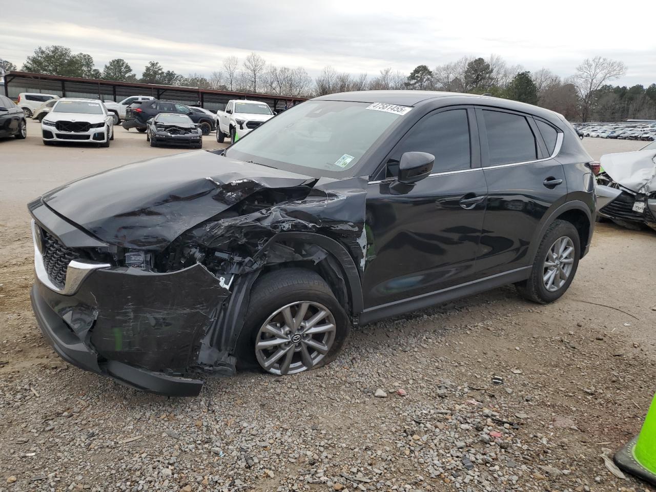 2023 MAZDA CX-5 SELECT VIN:JM3KFBBMXP0169625