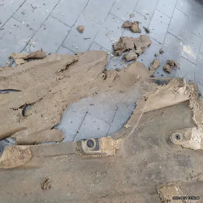 2021 BMW X4 M NONE VIN: