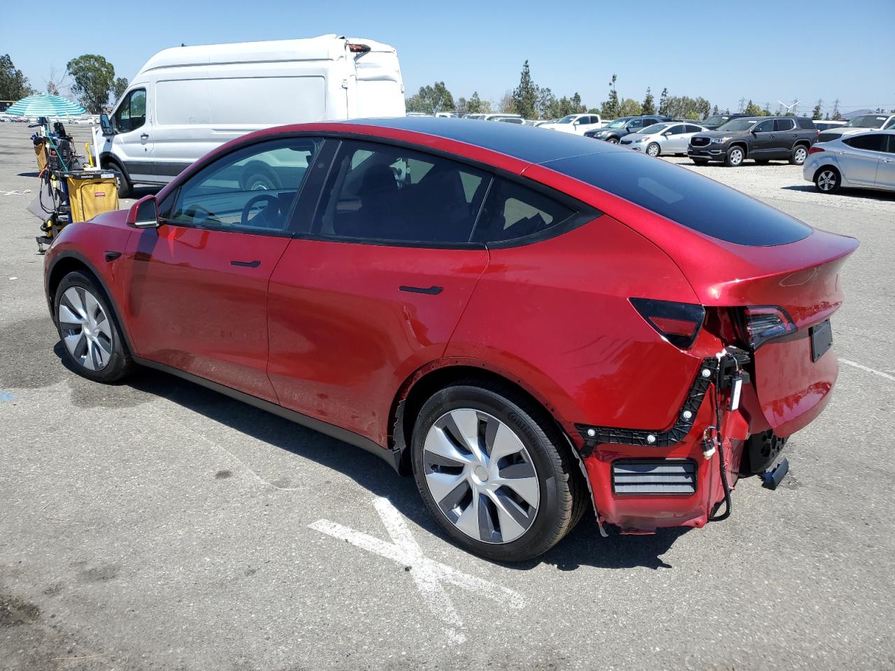 2024 TESLA MODEL Y  VIN:7SAYGAEE6RF081290