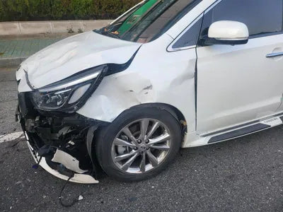 2019 Kia Carnival KNAMB81ABKS601953 VIN:KNAMB81ABKS601953