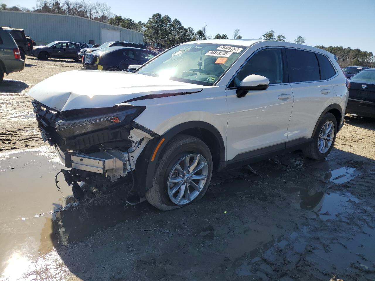 2024 HONDA CR-V EXL VIN:7FARS4H79RE014735
