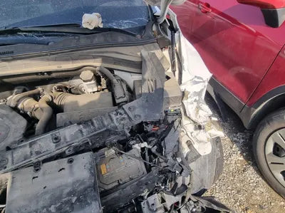 2020 Hyundai Santa FE KMHS381ADLU216986 VIN:KMHS381ADLU216986