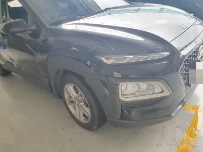 2019 Hyundai Kona KMHK4815GKU354787 VIN:KMHK4815GKU354787
