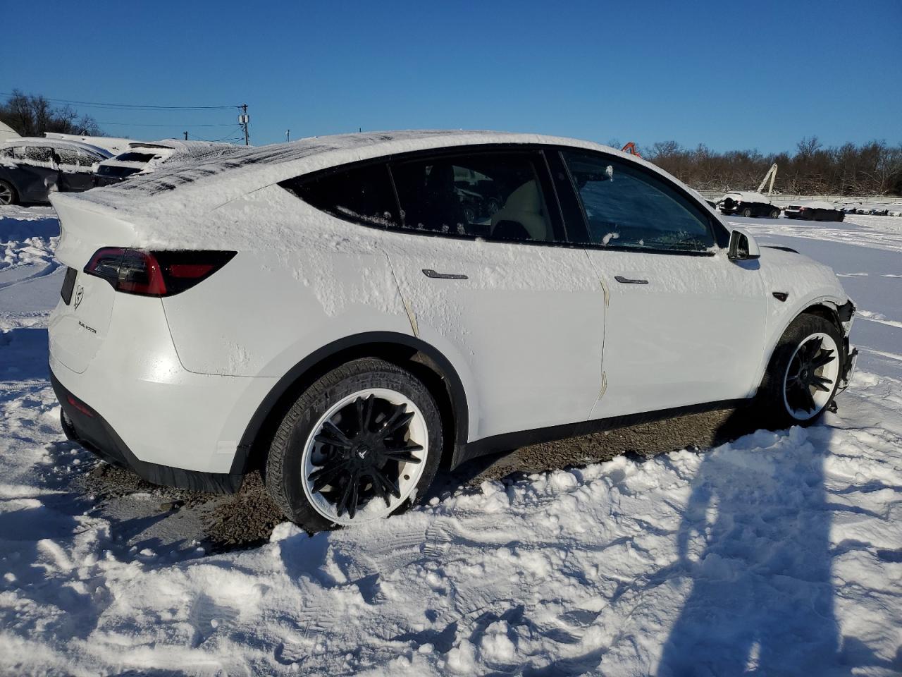 2024 TESLA MODEL Y  VIN:7SAYGDEE2RA258917