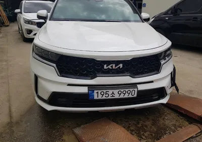 2023 Kia Sorento KNARF81FHPA191709 VIN:KNARF81FHPA191709