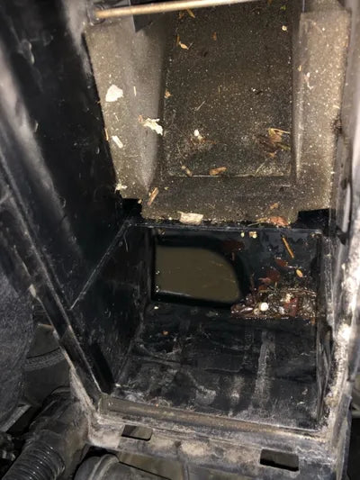 2016 BMW 520 WBA5E7105GG564255 VIN:WBA5E7105GG564255