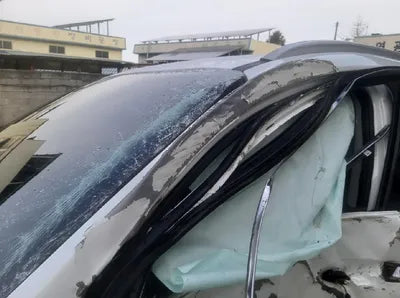 2019 Kia Sorento KNAPH81BDKA479311 VIN:KNAPH81BDKA479311