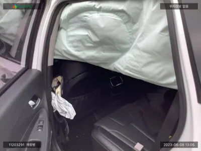 2018 Hyundai Santa FE KMHS281BBKU006904 VIN:KMHS281BBKU006904