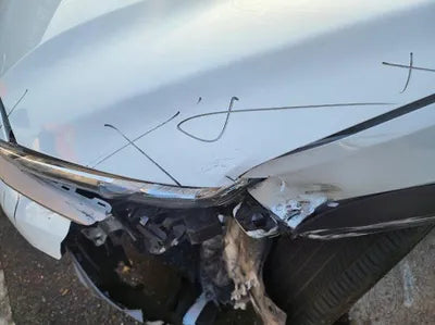 2019 Hyundai Kona KMHK381GFKU039767 VIN:KMHK381GFKU039767