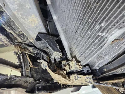 2019 Mercedes-Benz S 560 WDDUG8GB0KA495984 VIN:WDDUG8GB0KA495984