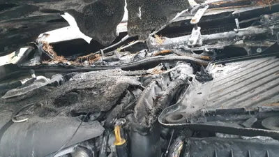 2015 Mercedes-Benz B 200 WDDMH0JB5FN125216 VIN:WDDMH0JB5FN125216