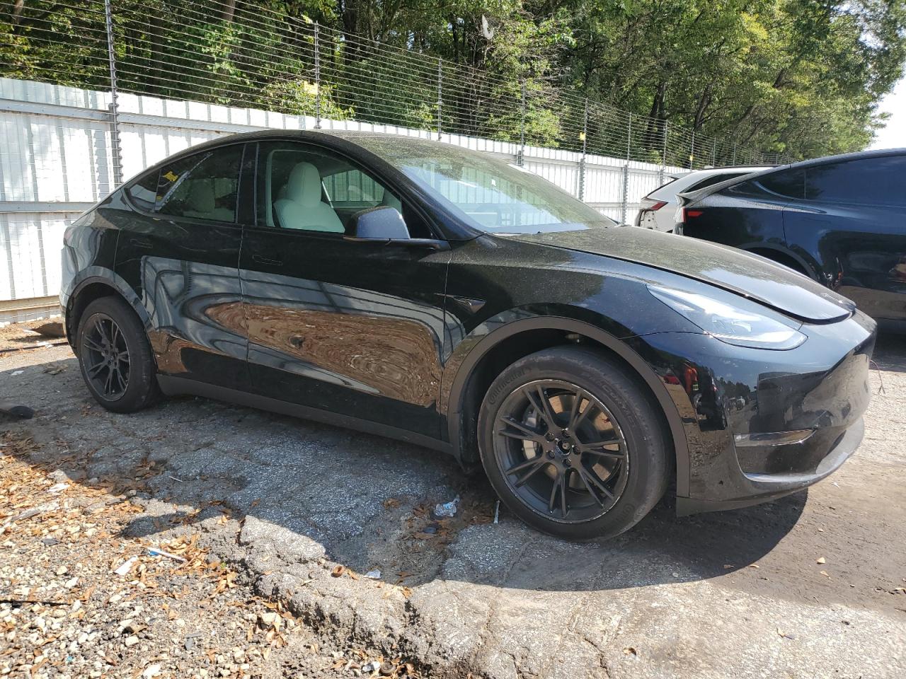 2023 TESLA MODEL Y  VIN:7SAYGDEE2PF799661