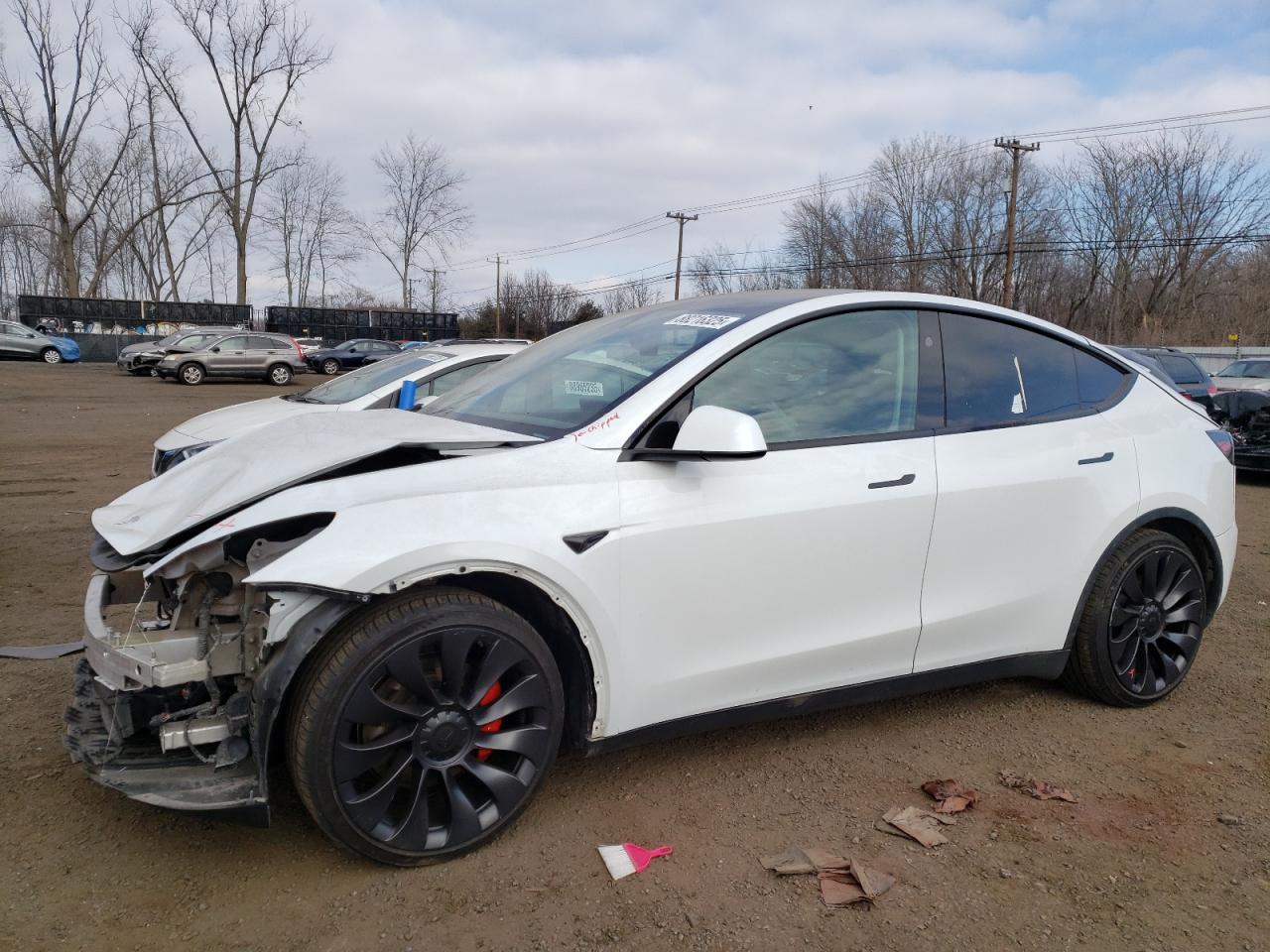 2023 TESLA MODEL Y  VIN:7SAYGDEFXPF855628