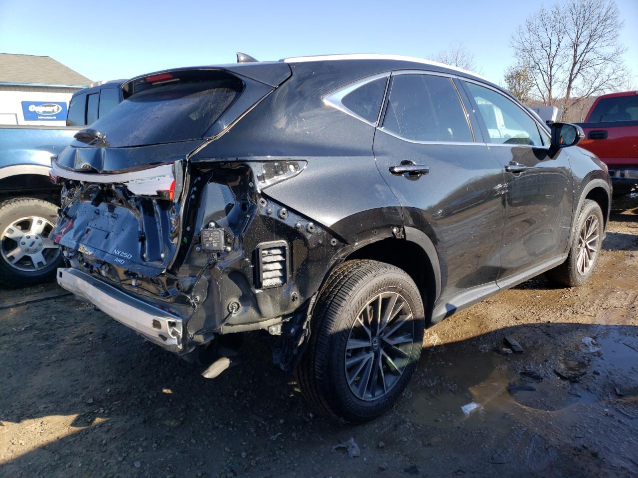 2023 LEXUS NX 250 VIN:2T2ADCEZ8PC002897