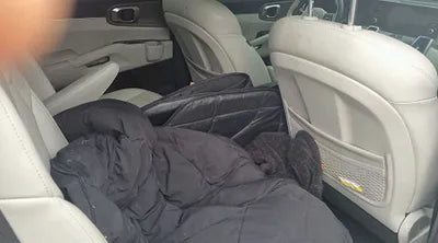 2021 Kia Sorento KNARH81GBMA021079 VIN:KNARH81GBMA021079