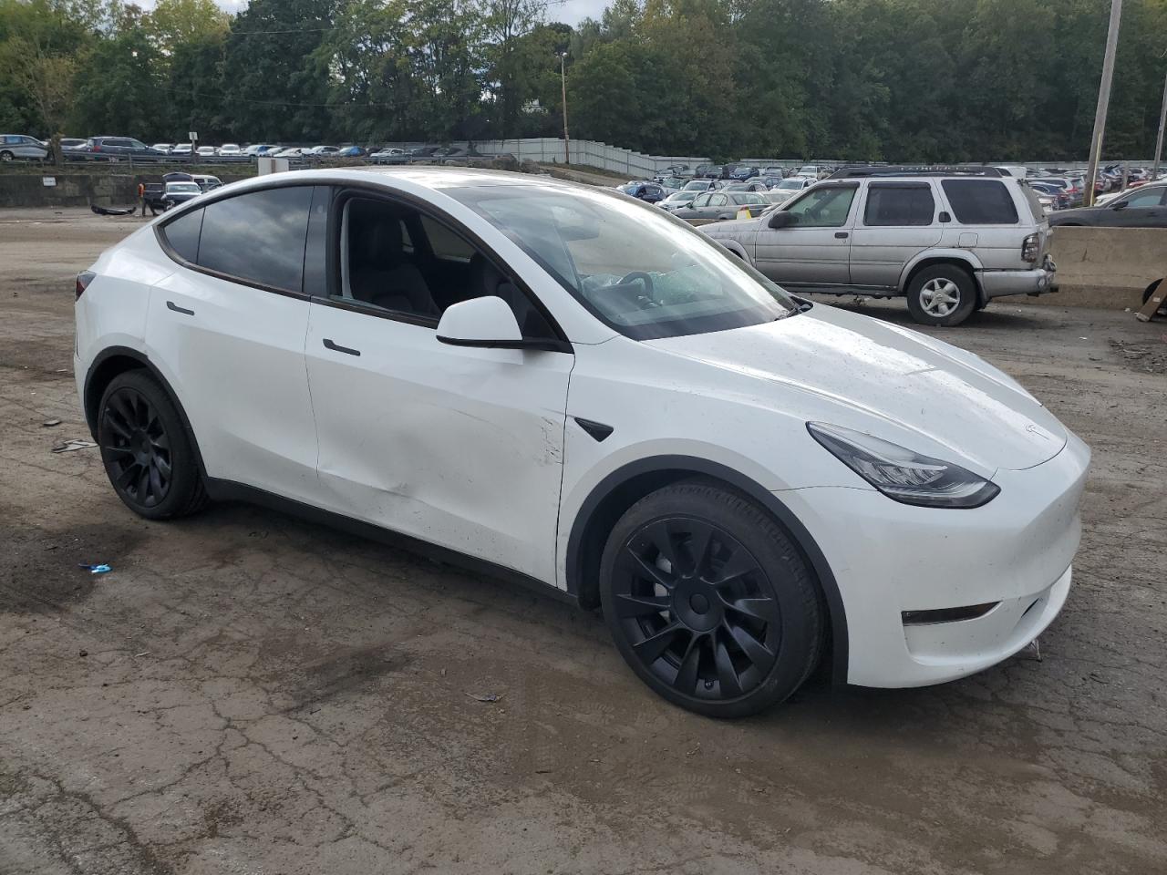 2023 TESLA MODEL Y  VIN:7SAYGDEE8PA057536