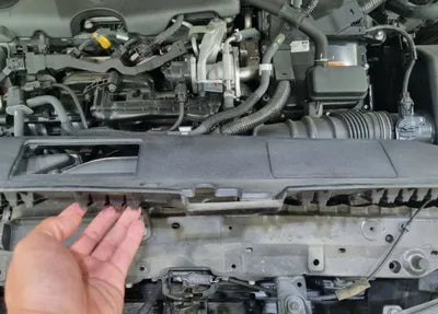 2019 Toyota Camry JTNB21HKXK3019523 VIN:JTNB21HKXK3019523