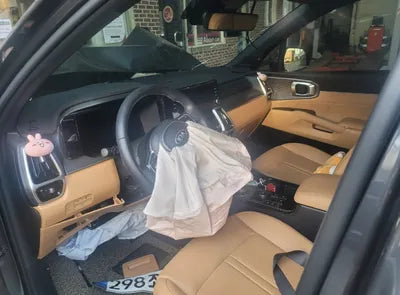 2021 Kia Sorento KNARK81GBMA037045 VIN:KNARK81GBMA037045