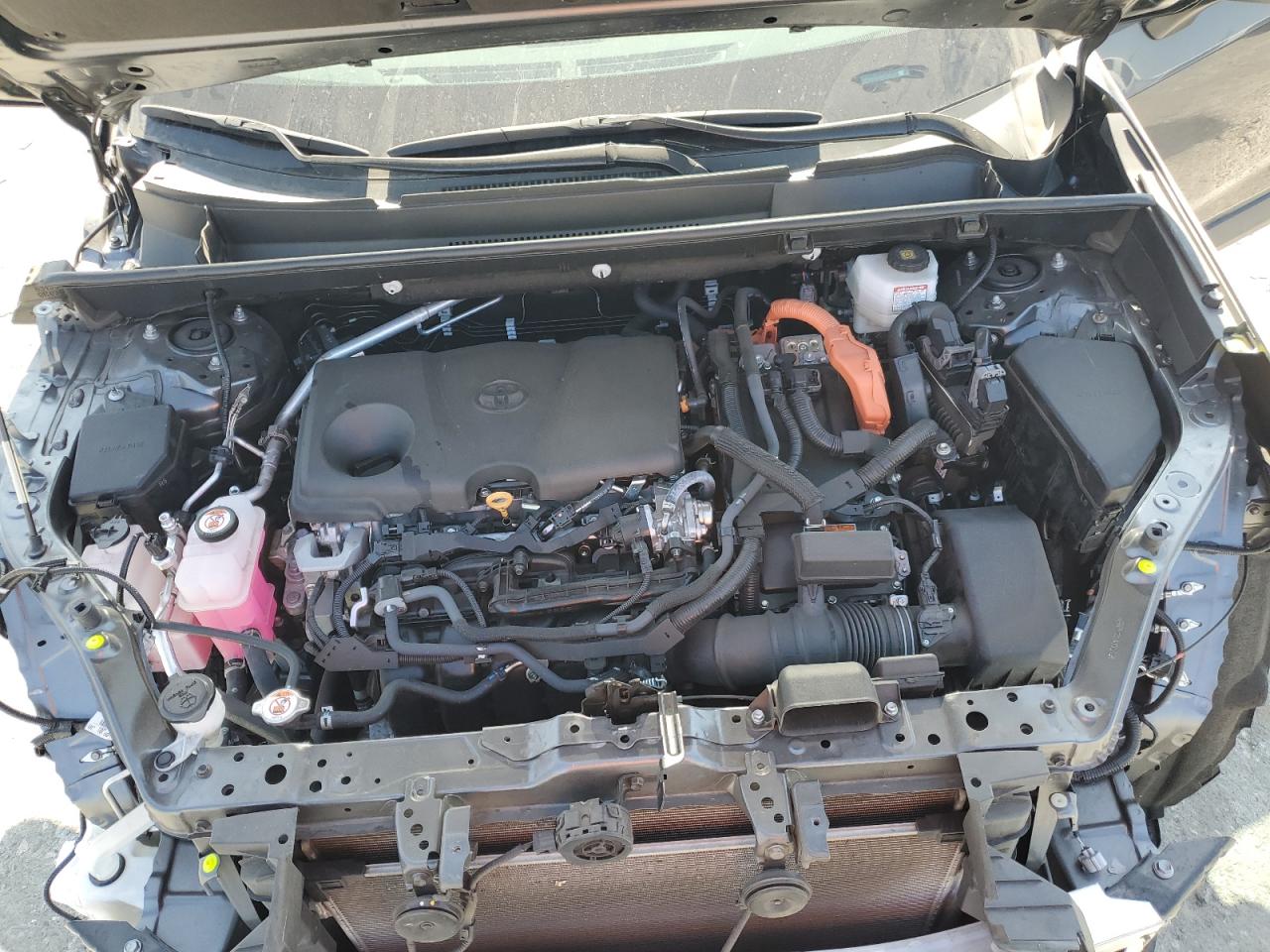 2023 TOYOTA RAV4 XLE VIN:4T3RWRFV6PU088135