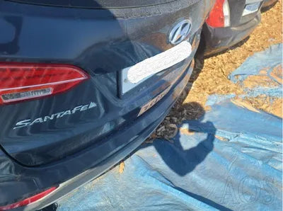 2015 Hyundai Santa FE 983KMKMHSW81UDFU5 VIN:983KMKMHSW81UDFU5