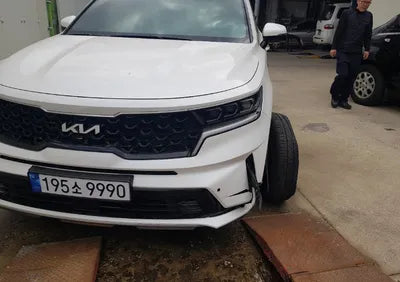 2023 Kia Sorento KNARF81FHPA191709 VIN:KNARF81FHPA191709