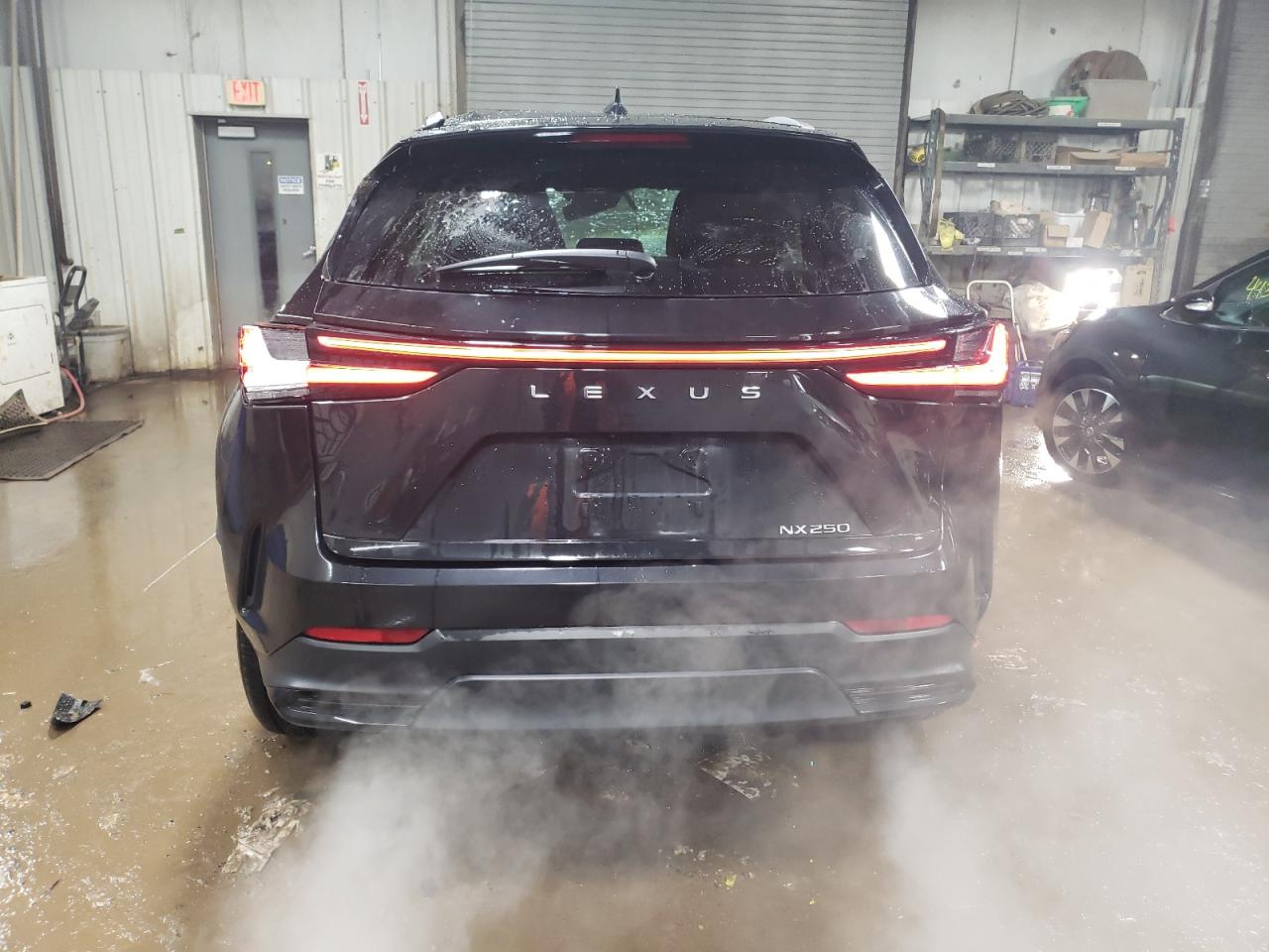 2022 LEXUS NX 250 VIN:2T2ADCAZ4NC002205