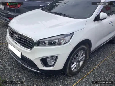 2016 Kia Sorento KNAPS81ADGA217139 VIN:KNAPS81ADGA217139